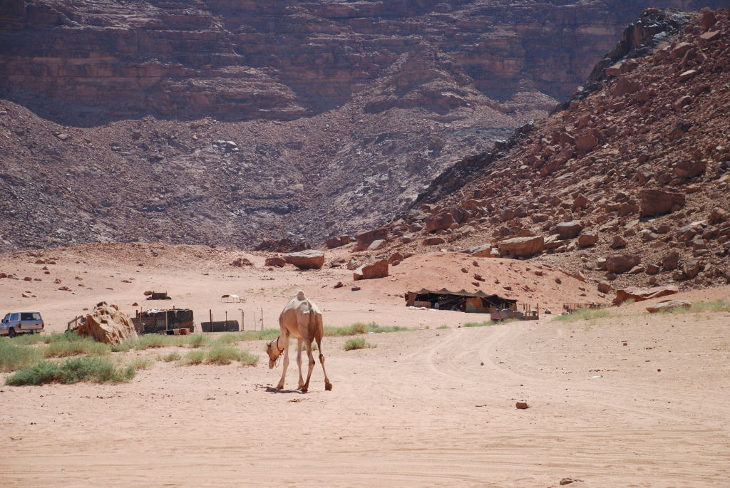 Wadi Rum